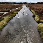 Furadouro Surf Camp Lejlighed Ovar